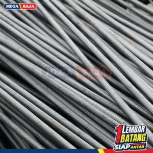 BESI BETON 10 POLOS NES