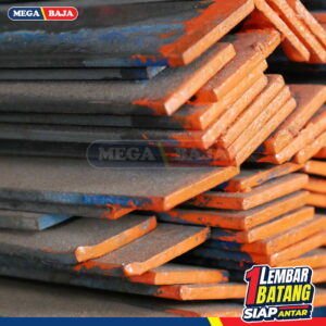 STRIP 10 X 100 X 6 M Full