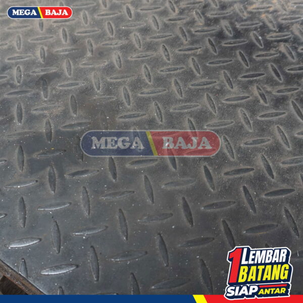 PLAT BORDES 1,20 M X 2,40 M | 8,70 mm