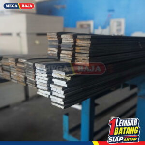 STRIP 8 X 100 X 6 FULL